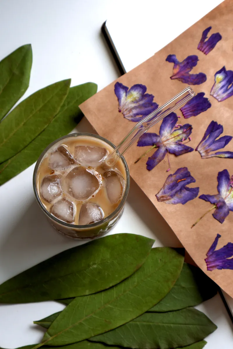 Unbranded iced botanical drink with leaves and dried flowers